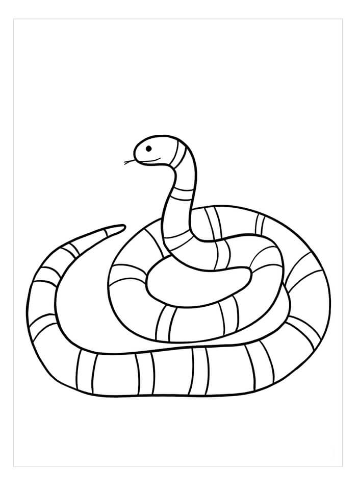 Serpiente de Coral