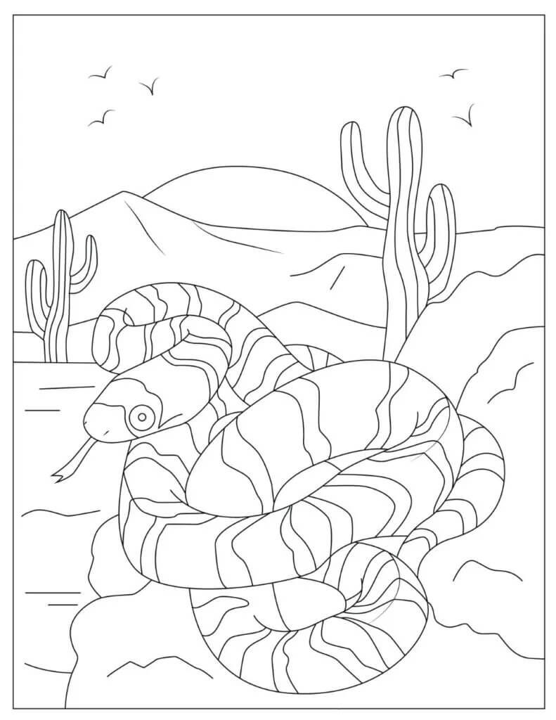 Serpientes en el Desierto