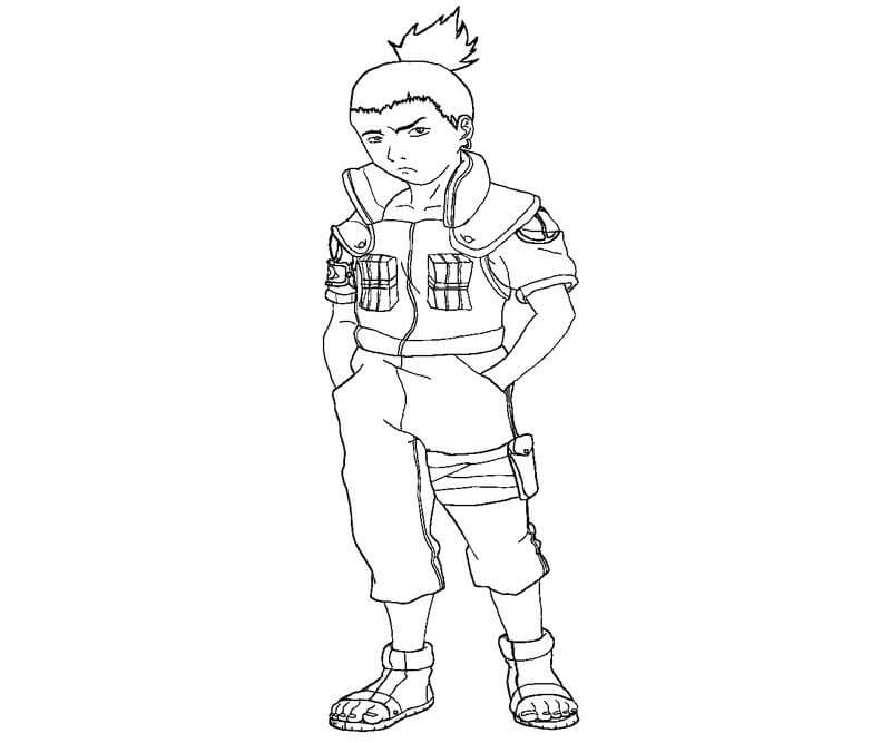 Shikamaru Básico