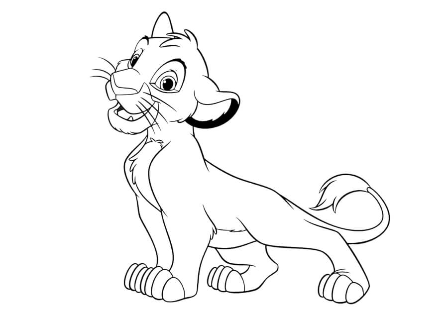 Simba Impresionante