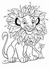 Simba y Flor