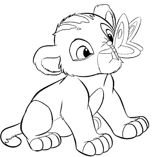 Simba y Mariposa
