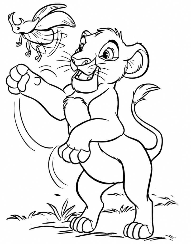 Simba y el Escarabajo