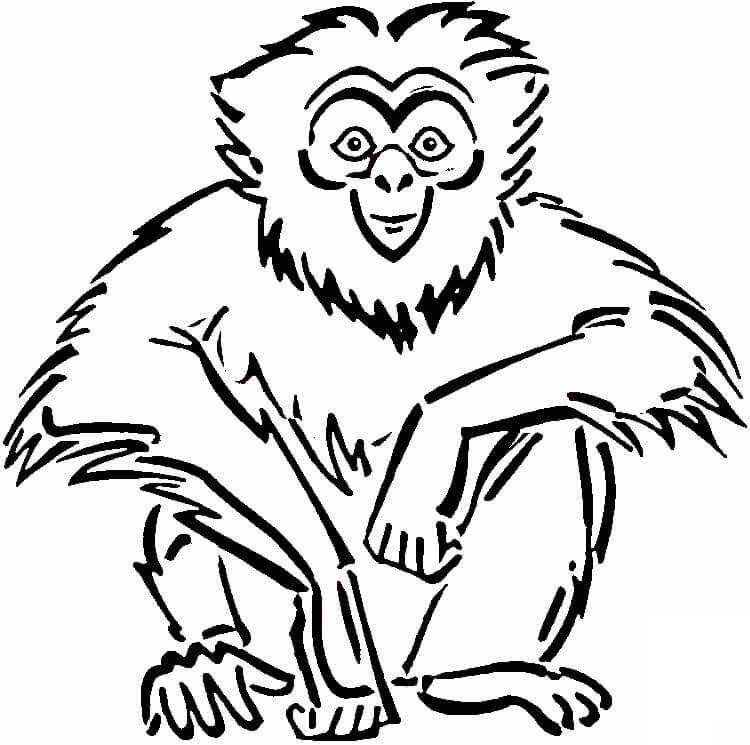 Simio de Dibujo