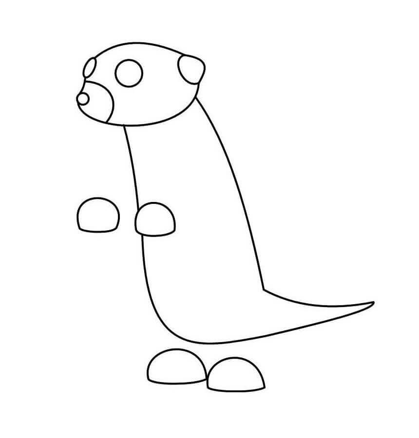 Suricata Adoptame