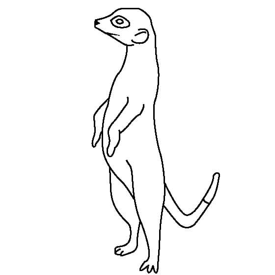 Suricata Fácil de Pie