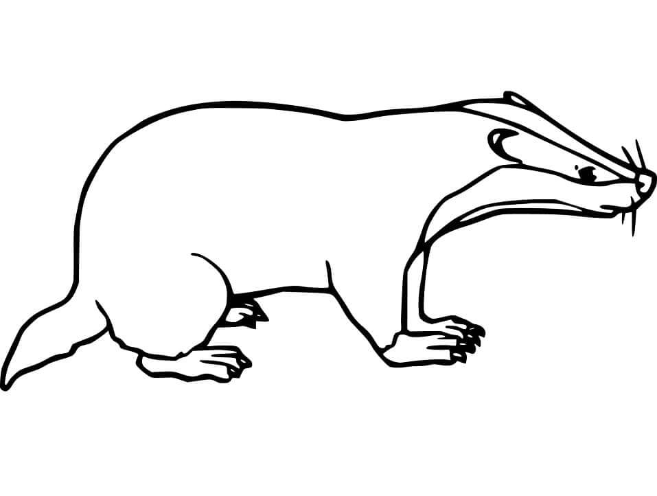 Tejón de Cerdo