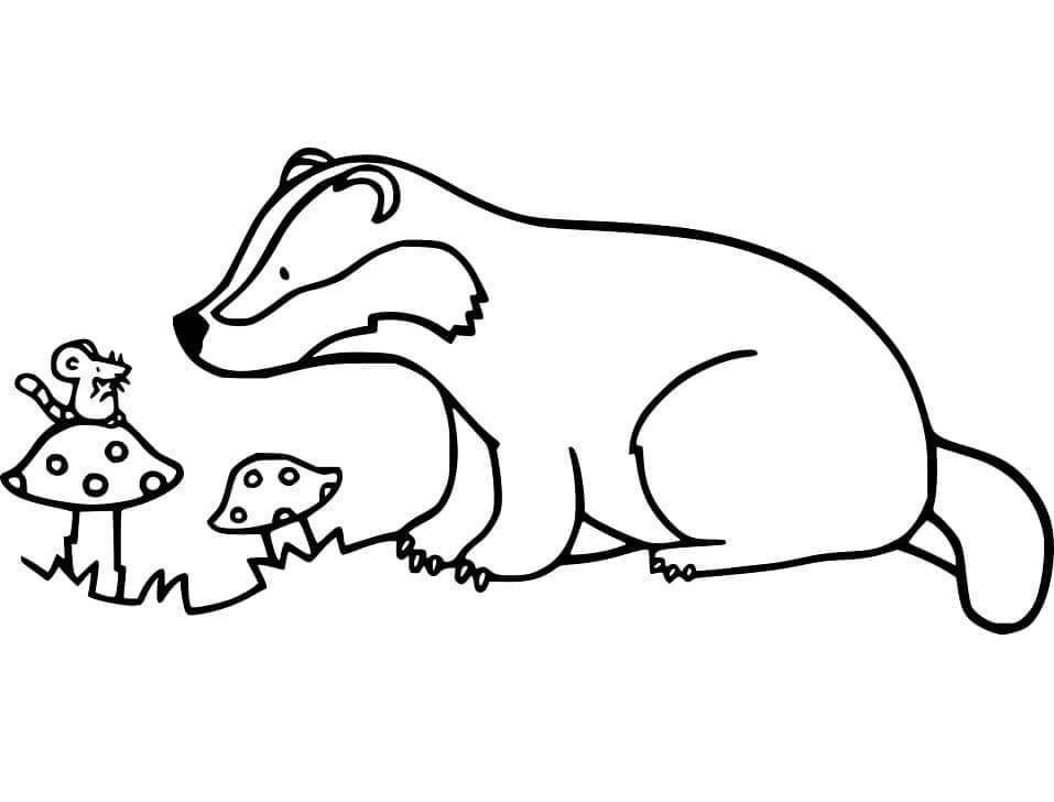 Tejón y Ratón
