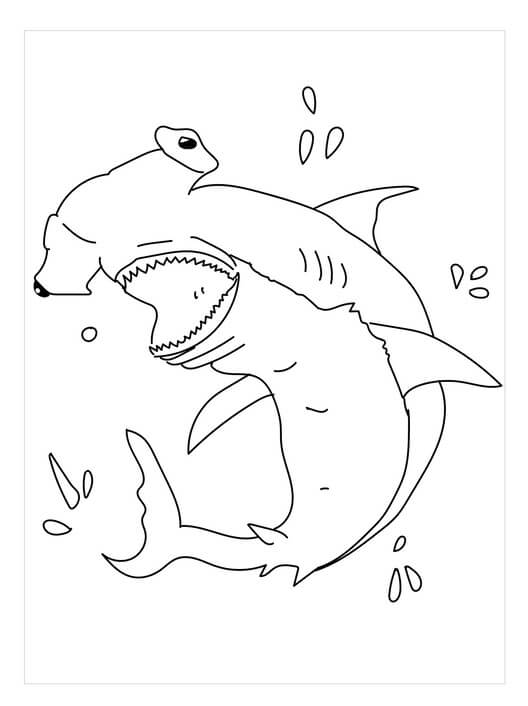 Tiburón Martillo Divertida
