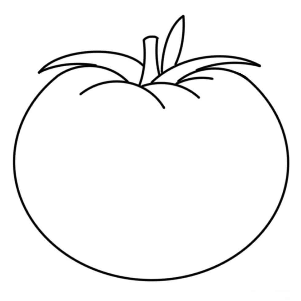 Tomate Básico