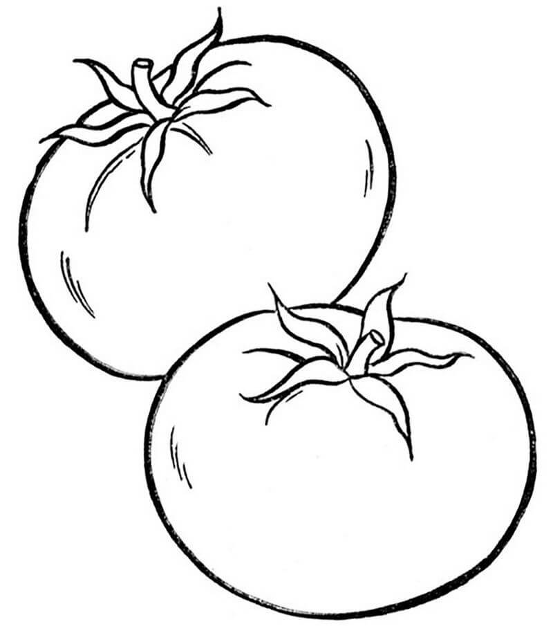 Tomate Dos