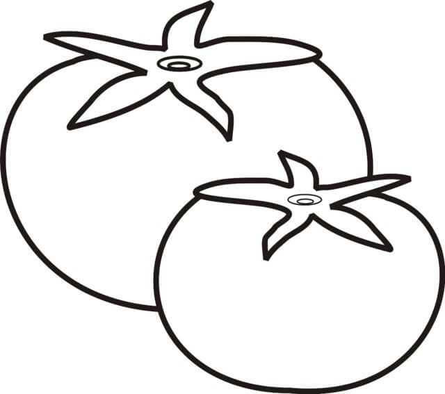 Tomate Grande y Pequeño