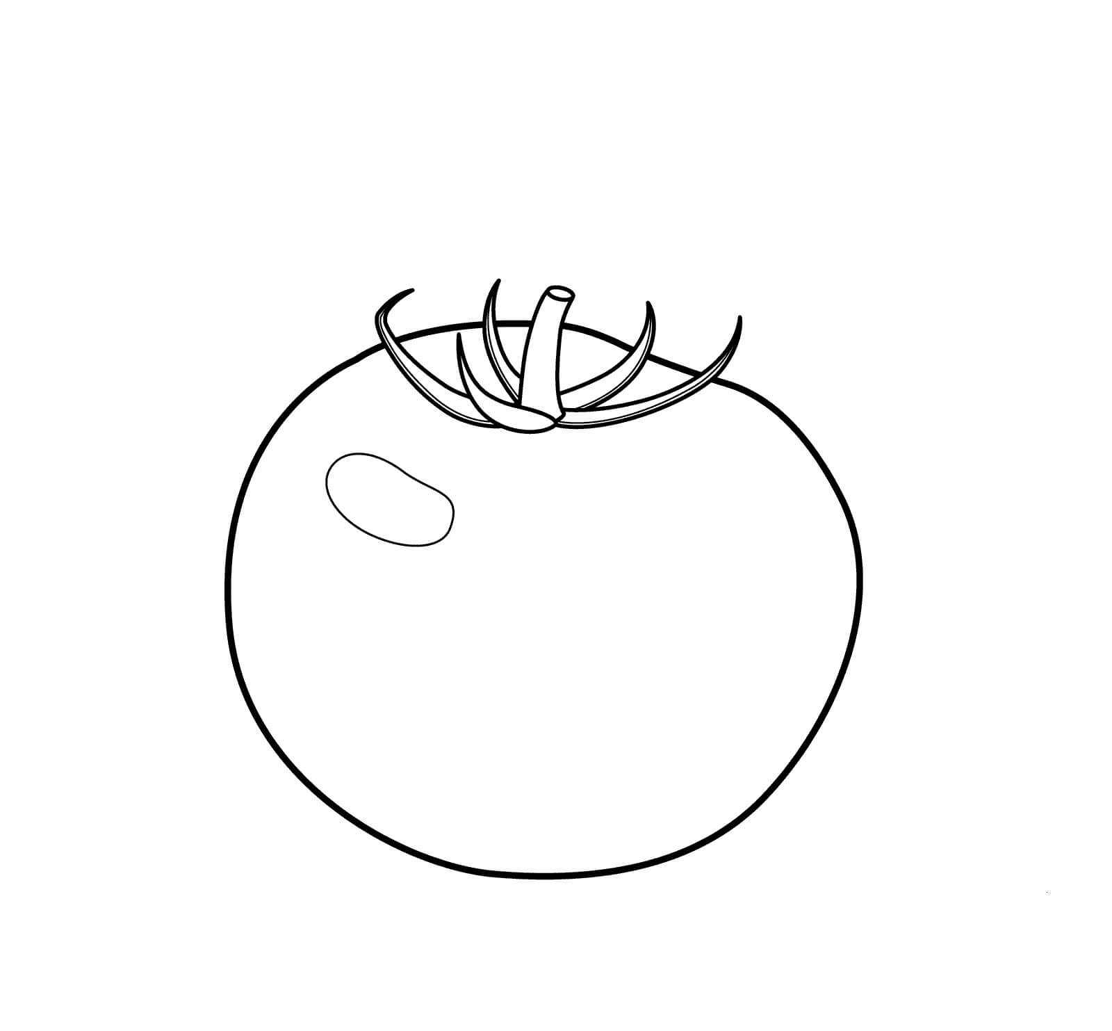 Tomate Lindo