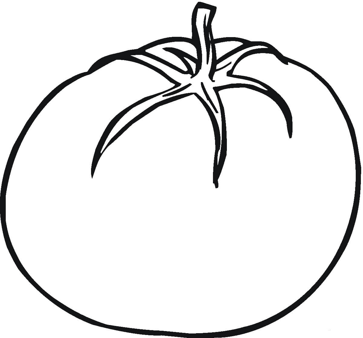 Tomate Normal
