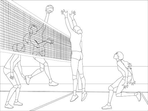 Torneo De Voleibol
