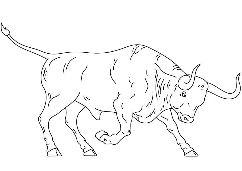 Toro de Lidia Español