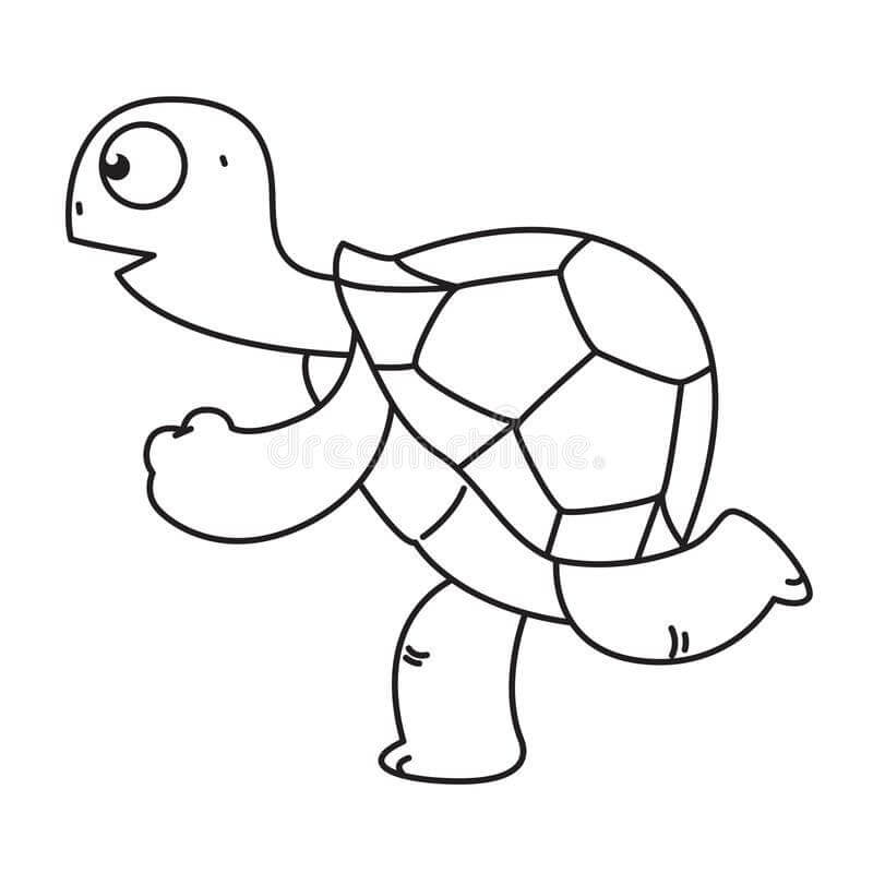 Tortuga Corriendo