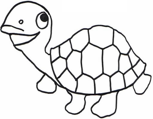 Reptiles