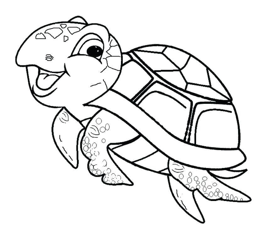 Tortuga Divertido