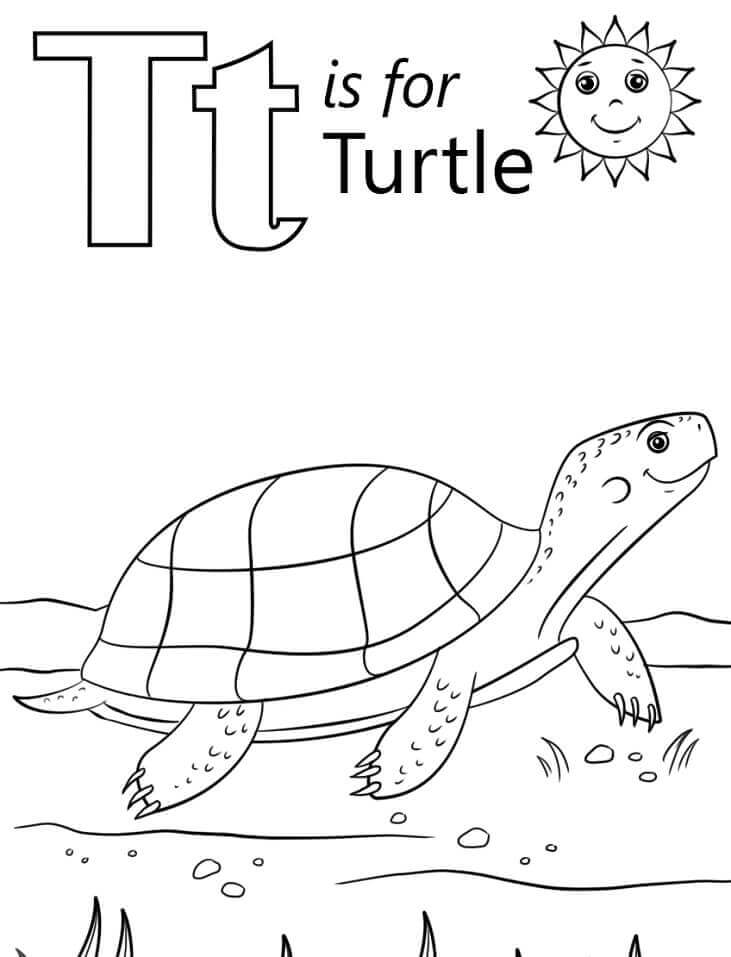 Tortuga Letra T