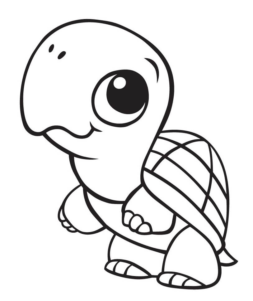 Tortuga Linda