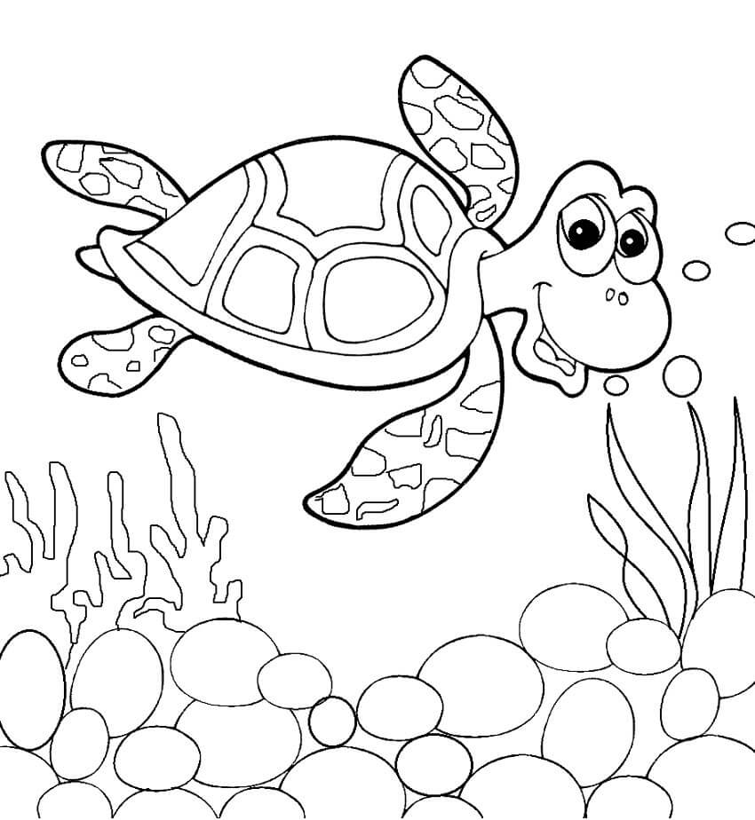 Tortuga Nadando