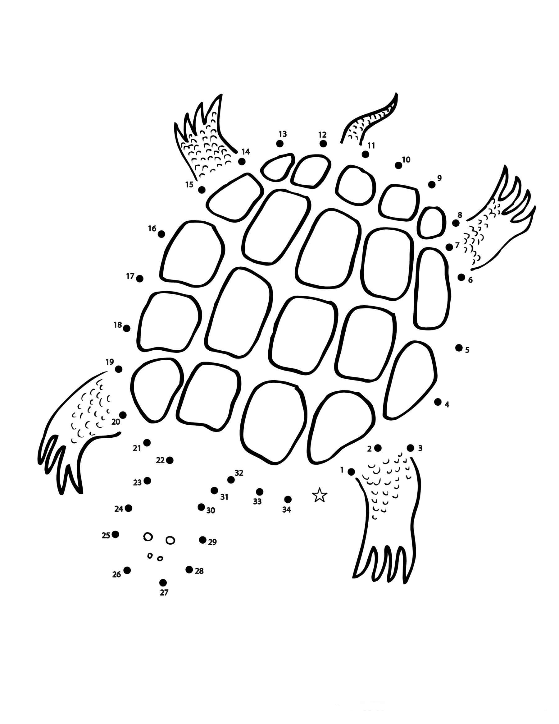 Tortuga Punto a Puntos