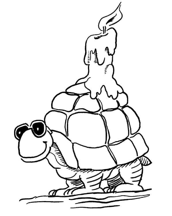 Tortuga Sonriendo con Vela