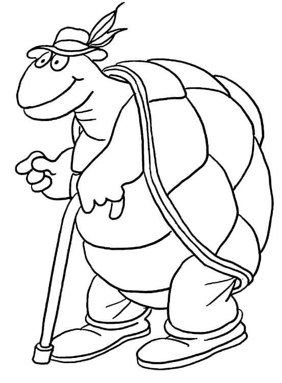 Tortuga Vieja