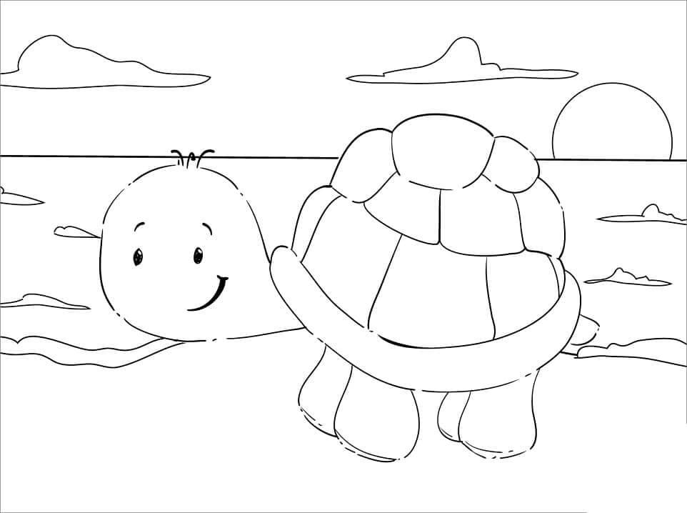 Tortuga en la Playa