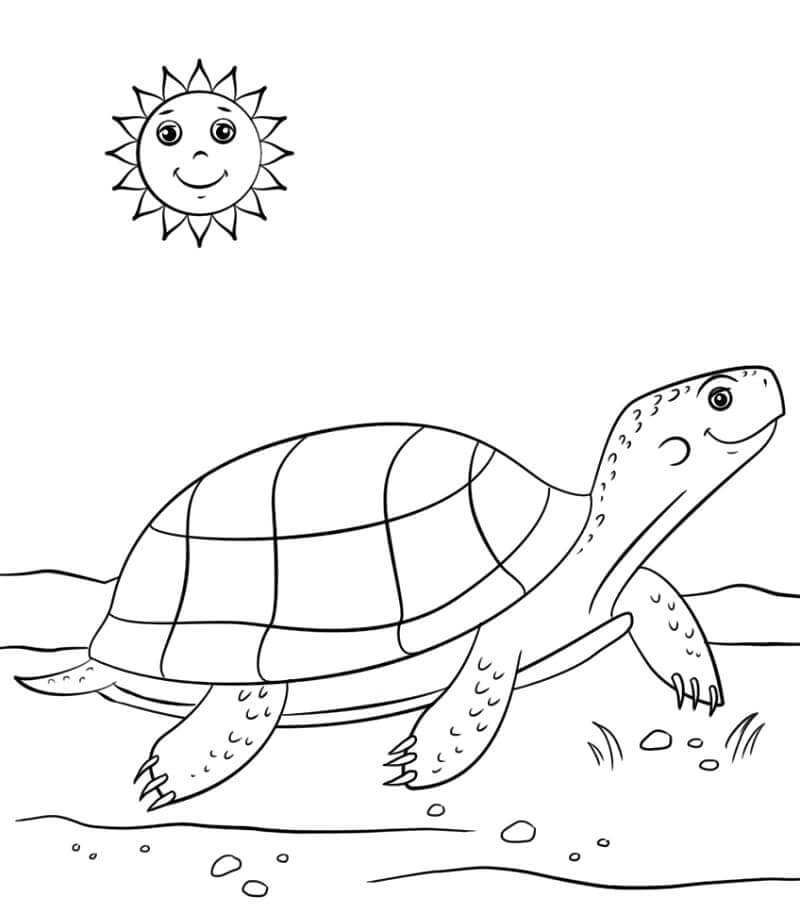 Tortuga y Sol Sonriendo