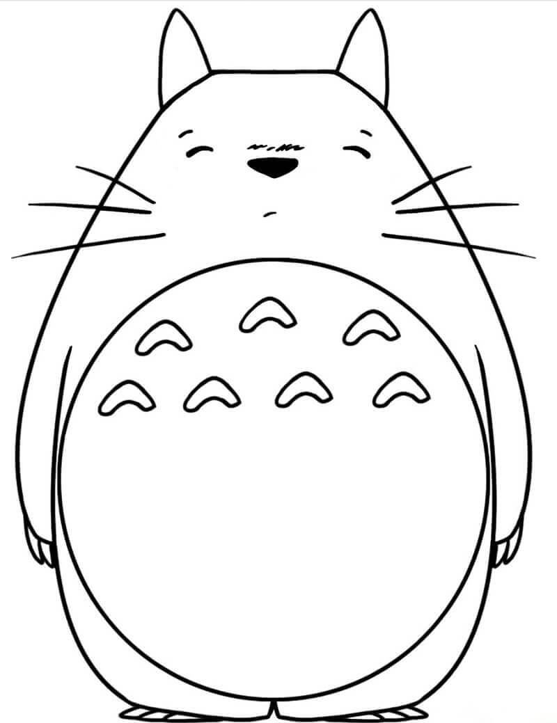 Totoro Durmiendo