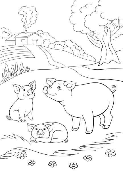 Tres Cerdos en la Granja