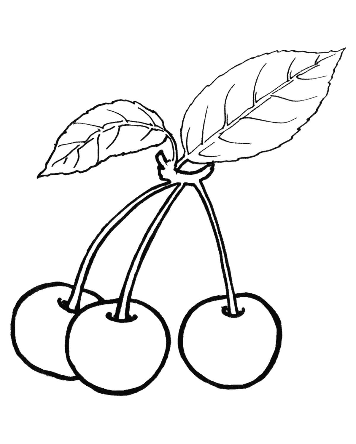 Tres Cerezas con Hoja