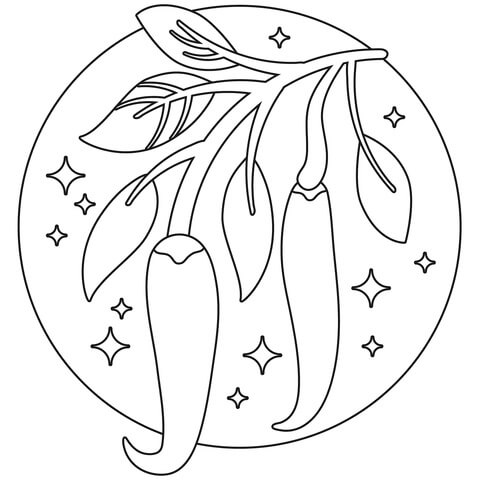 Tres Chiles