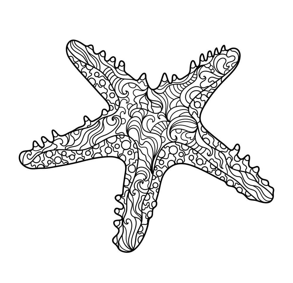 Tres Estrellas de Mar
