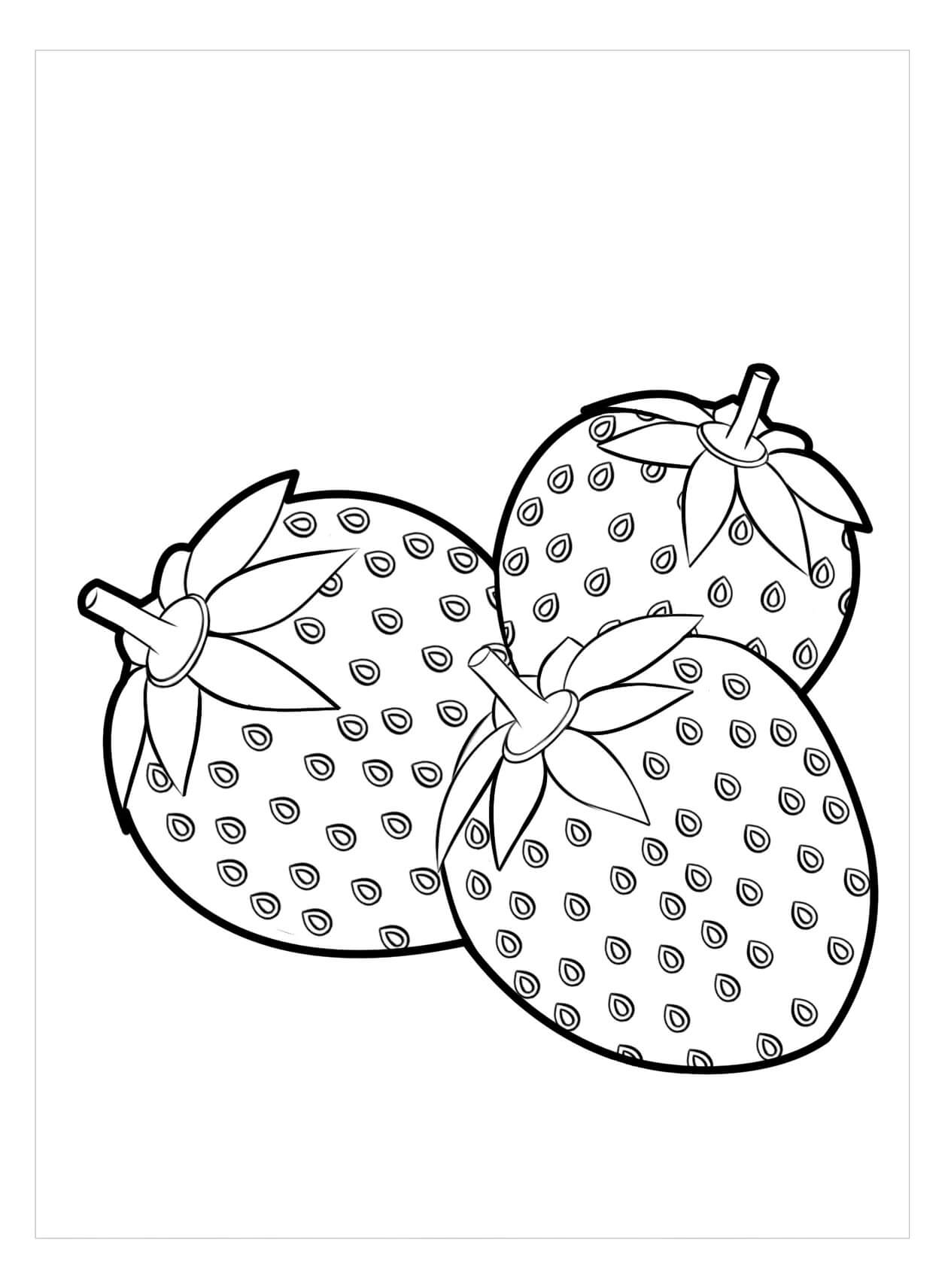 Tres Fresas Basicas