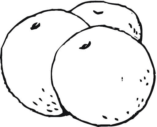 Tres Kumquat