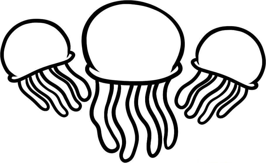 Tres Medusas
