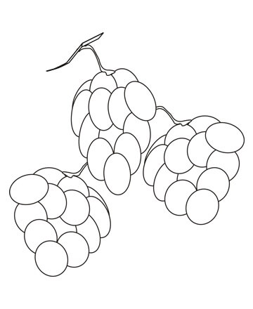 Mora