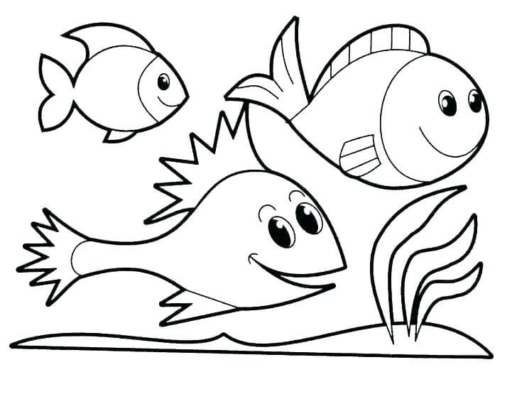 Tres Peces Lindo