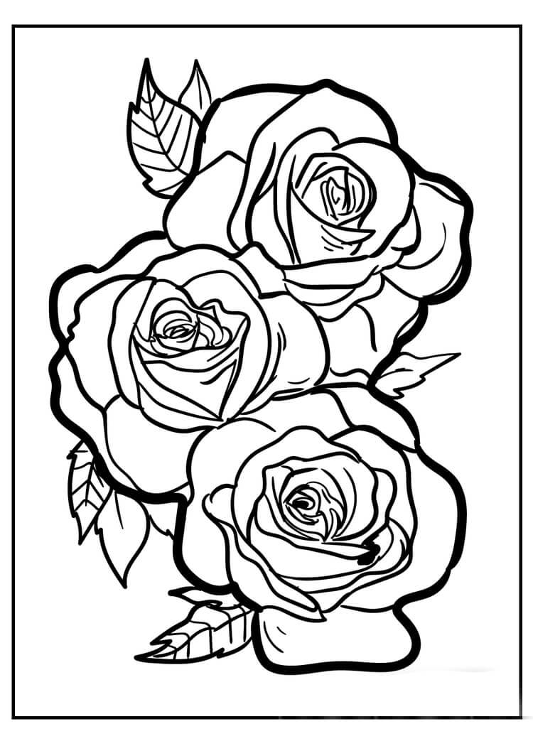 Tres Rosas
