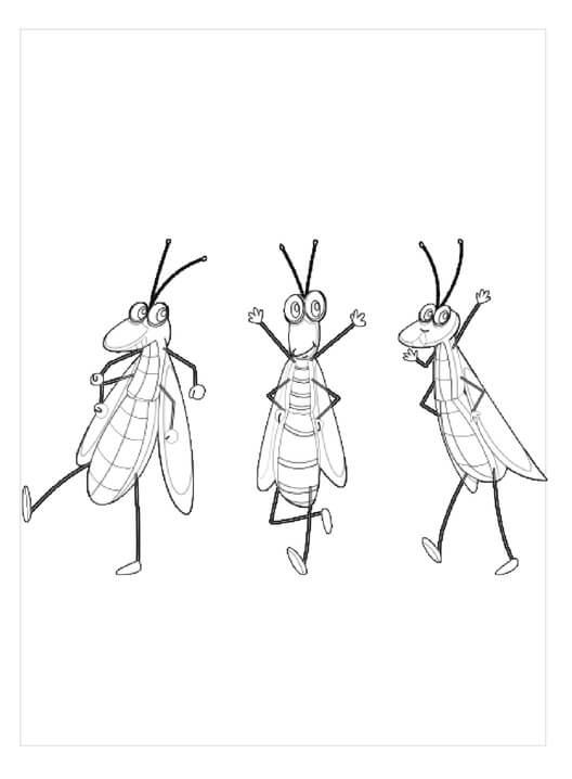 Tres Saltamontes