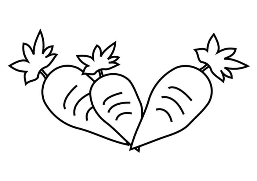 Tres Zanahorias Lindas