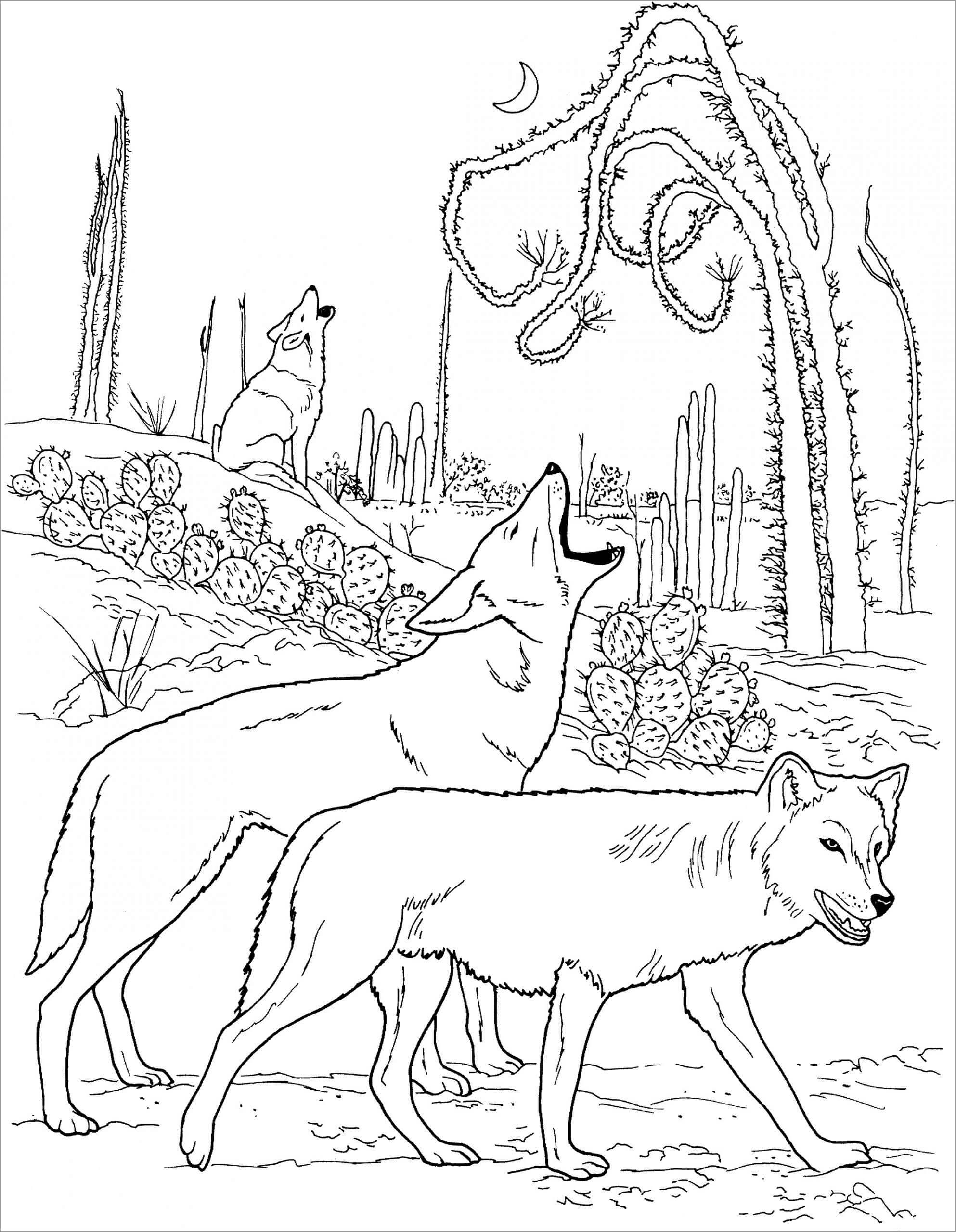 Tres lobos Aulladores