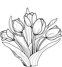 Tulipán Impresionante
