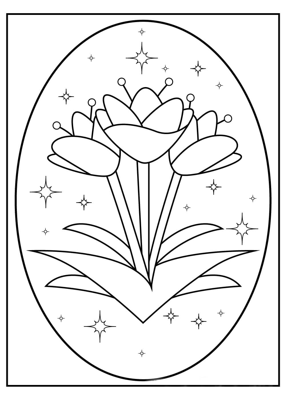 Tulipán en Círculo