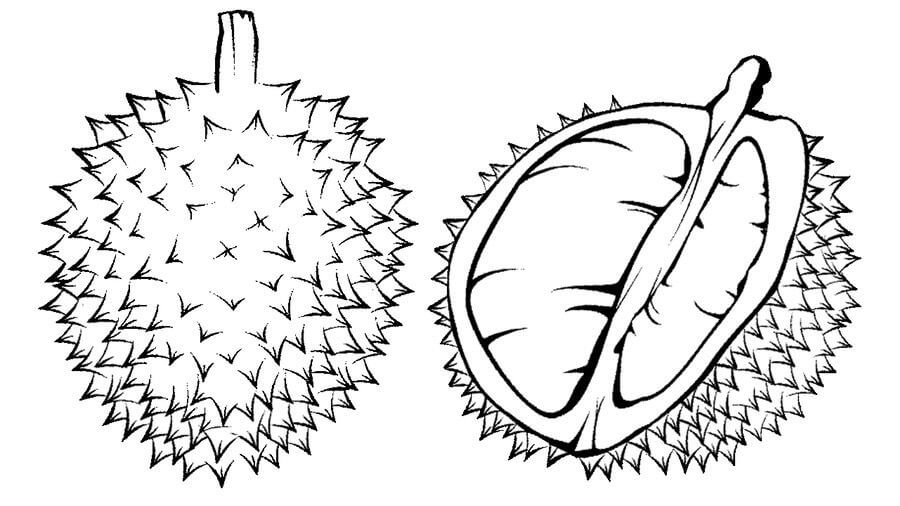 Un Durian y Medio Durian