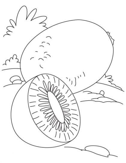 Un Kiwi y medio Kiwi