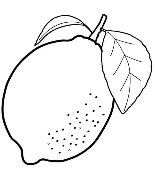 Un Limon con Hoja